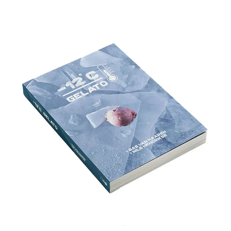 -12°C Gelato: A Modern Ice Cream Handbook By Bas Van Haaren & Nils Hendrikse (English Edition) 1