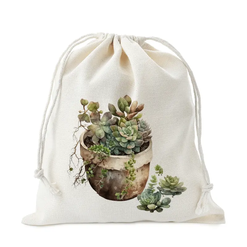 Assorted Succulent Arrangement Art 1