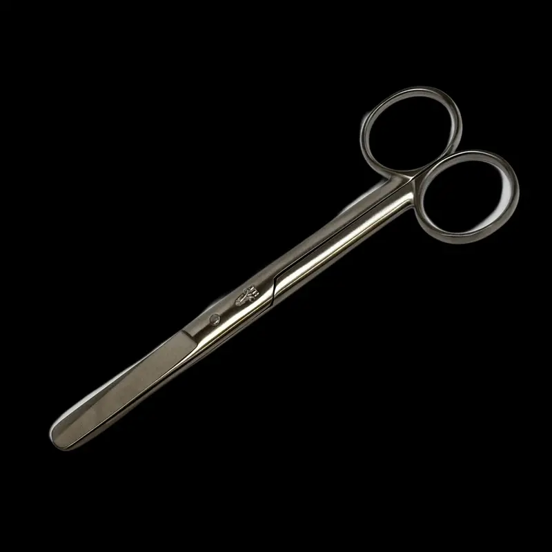 Child-Safe Stainless Steel Scissors Handcrafted By Ishihiro 1
