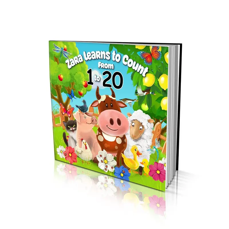 Counting Skills Softcover: Learning To Count Through Play 1