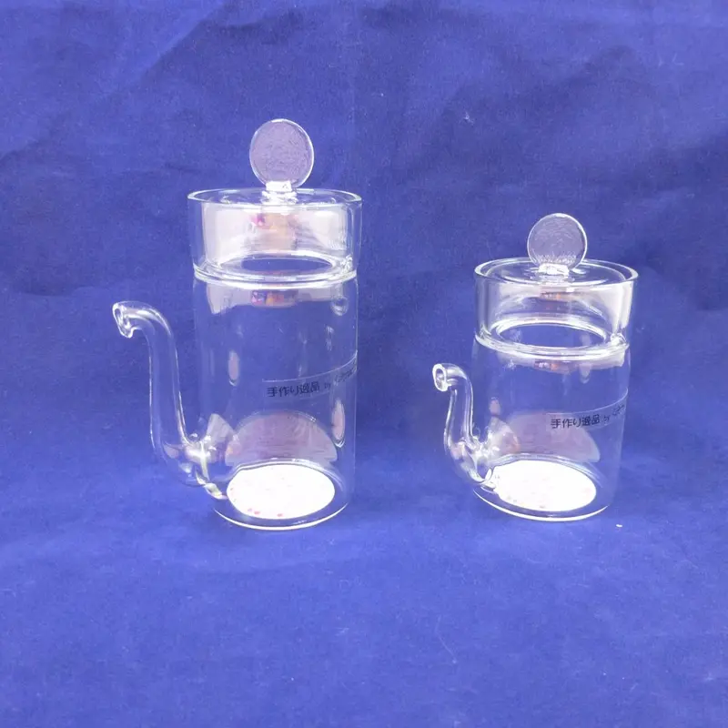 Drip-Free Glass Soy Sauce Dispenser Bottle 1