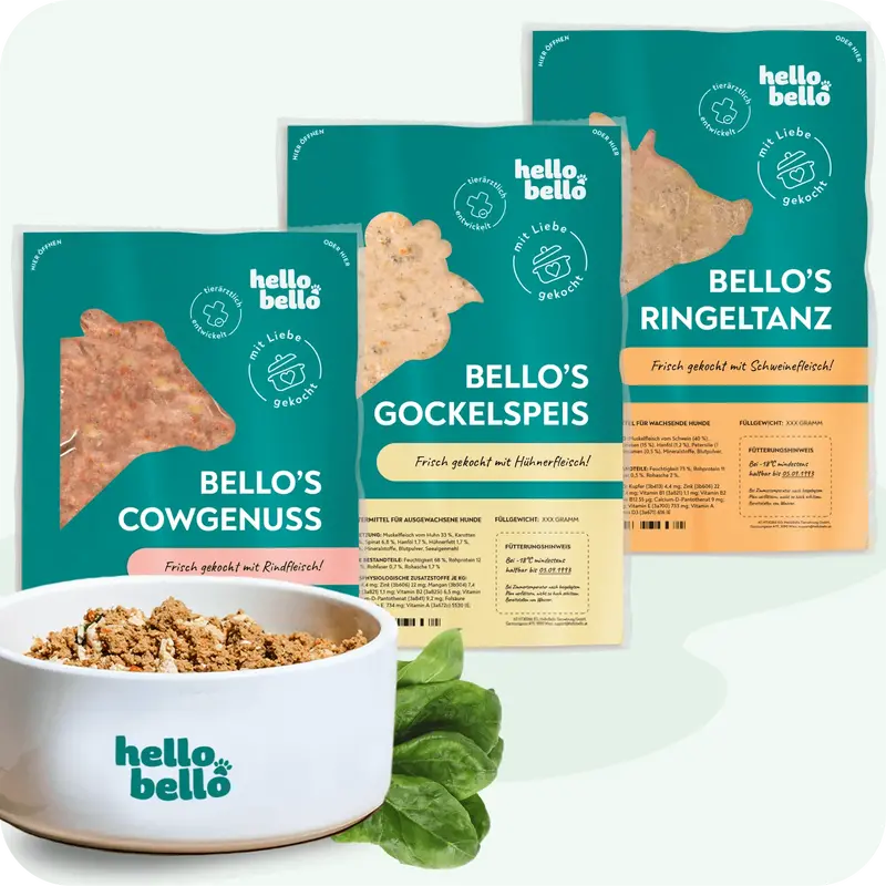 Fresh Dog Food Formula – 976 Kcal Daily Energy Requirement 1