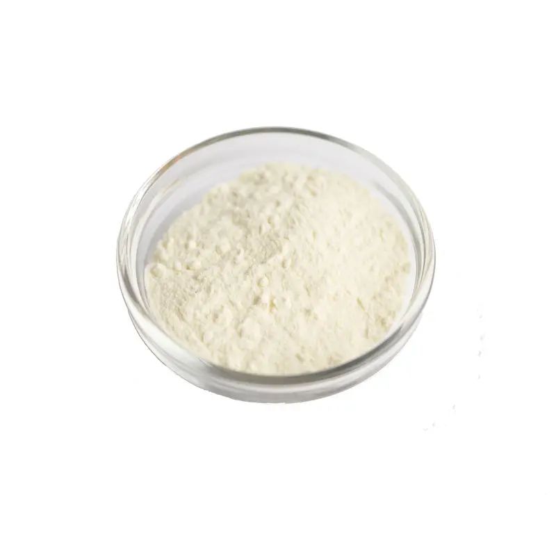 Gaylea Skim Milk Powder – Low-Fat Dry Milk For Baking And Cooking (454G) 1