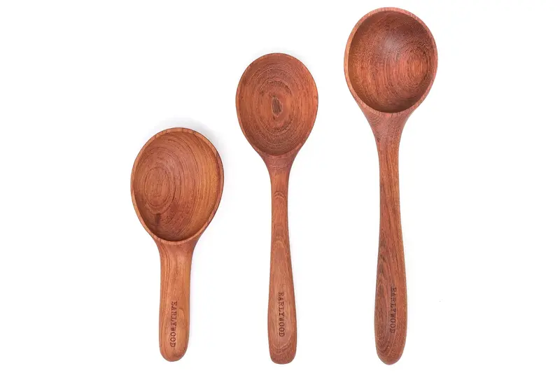 Premium Serving Spoon Collection 1