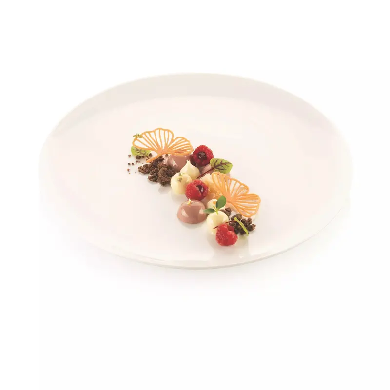 Silikomart Ginkgo Leaf Silicone Decor Mould – Intricate Design For Tuile, Chocolate & Gelatin 1