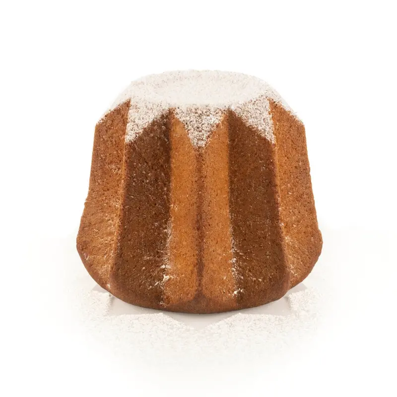Silikomart Verona 1900 T-Plus Pandoro & Bread Mold – Tritan Material 1