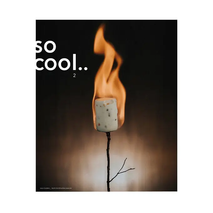 So Cool Ice Cream Magazine Issue #2 – Innovative Techniques And Recipes For Artisanal Frozen Desserts (English) 1
