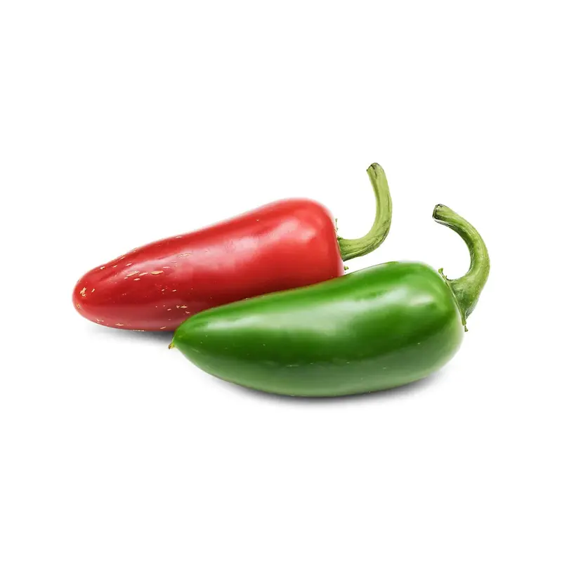 Veritable Jalapeño Hot Chili Lingot Seed Pod 1