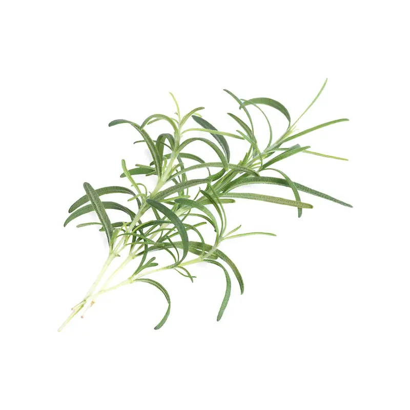 Veritable Rosemary Lingot – Concentrated Herb Block For Culinary Use 1