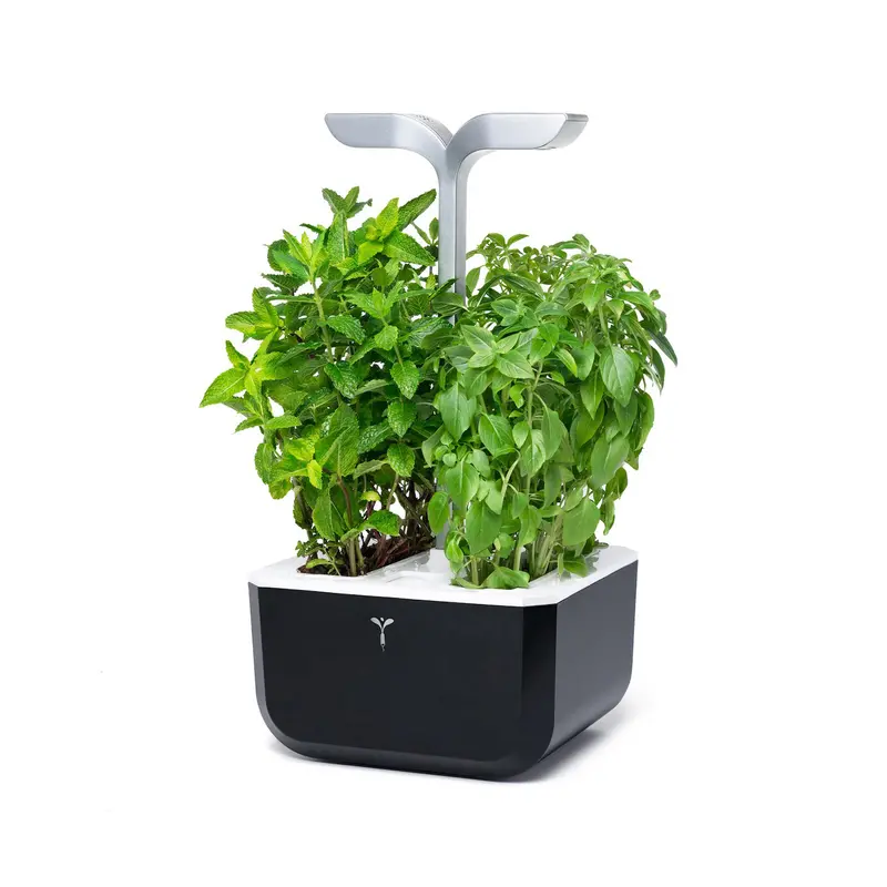 Veritable Smart Exky Edition Black Compact Garden (2-Plant System) 1