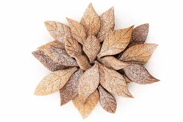 Voilà Leaf-Shaped Cookie Cutter Set – Elegant Edible Decor Tools 1